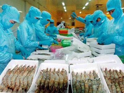Căng thẳng ‘cuộc chiến’ tôm Căng thẳng ‘cuộc chiến’ tôm