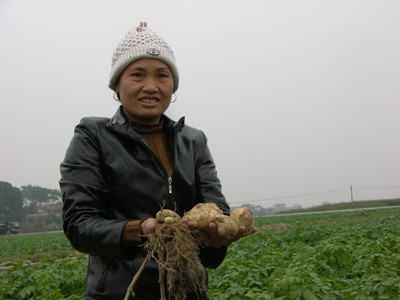 Phải tăng thêm quyền cho người sử dụng đất Phải tăng thêm quyền cho người sử dụng đất
