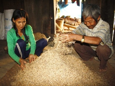 Cả nước hơn 30 nghìn hộ thiếu đói Cả nước hơn 30 nghìn hộ thiếu đói
