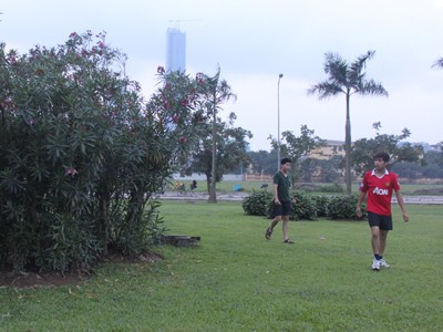 Nếu có yêu cầu, sẽ thay cây trúc đào Nếu có yêu cầu, sẽ thay cây trúc đào