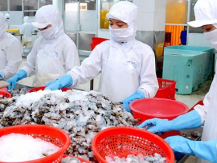 Ngành tôm Mỹ chia rẽ vì vụ kiện với Việt Nam Ngành tôm Mỹ chia rẽ vì vụ kiện với Việt Nam