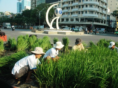 Những người khoác áo xuân cho phố Những người khoác áo xuân cho phố