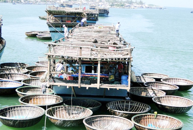 Ba ngàn cư dân Trường Sa Tàu câu mực như cánh hoa trên sóng Ảnh: Hải Anh