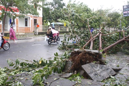 Bão đổ bộ Quảng Nam, đã có người tử vong Bão đổ bộ Quảng Nam, đã có người tử vong
