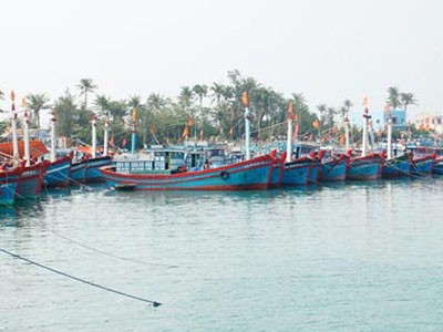Thành lập tổ chặn tàu cá bị nước ngoài bắt giữ Thành lập tổ chặn tàu cá bị nước ngoài bắt giữ