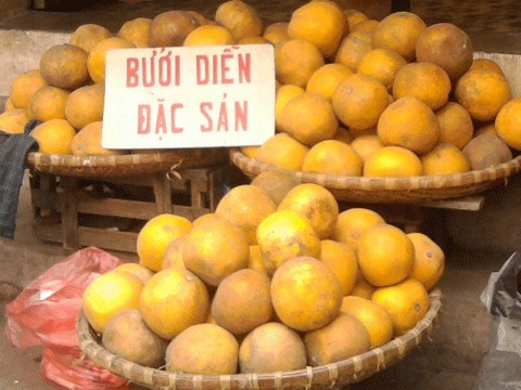 Đặc sản bưởi Diễn, chủ yếu là giả Đặc sản bưởi Diễn, chủ yếu là giả