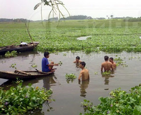 Hà Nội: 6 nữ sinh chết đuối trên sông Hồng Người dân trong vùng đang tìm thi thể các em