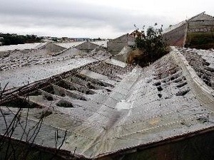 Mưa đá lịch sử gây thiệt hại gần 6 tỷ đồng Mưa đá lịch sử gây thiệt hại gần 6 tỷ đồng