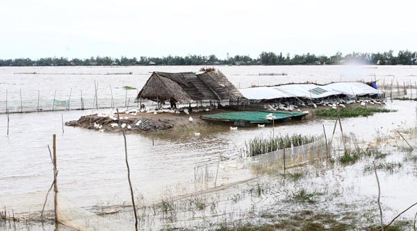 Sơ tán dân trước 9 giờ sáng 30-9 để tránh bão số 5 Sơ tán dân trước 9 giờ sáng 30-9 để tránh bão số 5