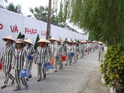 Đoạn trường bi ai của những tội nhân giết chồng Đoạn trường bi ai của những tội nhân giết chồng