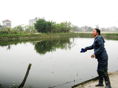 Học sinh lớp tám giết bạn cướp xe đạp Học sinh lớp tám giết bạn cướp xe đạp