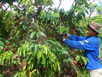 Làm ăn yếu kém, thua lỗ nên giải thể Làm ăn yếu kém, thua lỗ nên giải thể