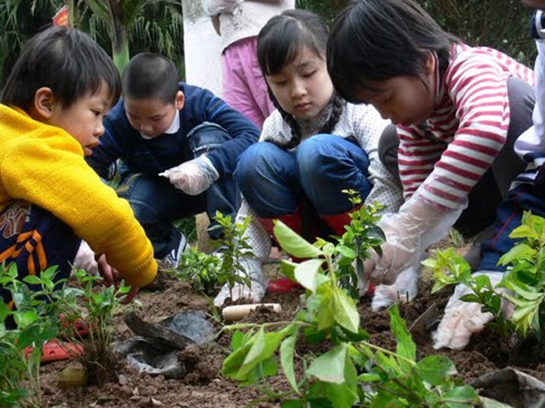 Tình nguyện 4T Tình nguyện 4T