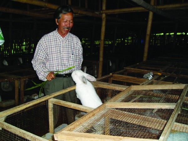 Hướng đi mới cho nông dân Quảng Nam Hướng đi mới cho nông dân Quảng Nam