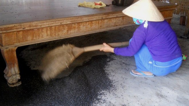 Hàng triệu côn trùng 'đậu đen' tấn công người dân “Đậu đen” tràn ngập trong nhà anh Thanh