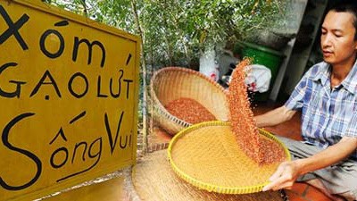 Thăm xóm gạo lứt trị ung thư Thăm xóm gạo lứt trị ung thư