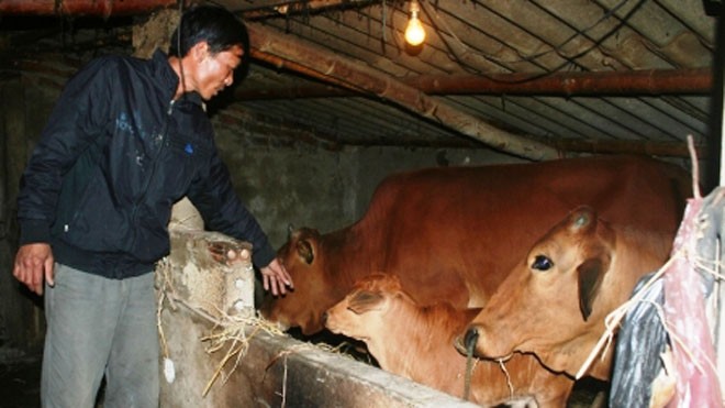 Ở nơi nhiều người công khai mình nhiễm HIV Không chịu khuất phục trước bệnh tật, các thành viên trong CLB giúp đỡ nhau làm kinh tế thoát nghèo