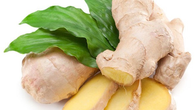 Đánh bay cảm cúm nhờ húng chanh Húng chanh phối hợp với gừng tươi trị cảm cúm.