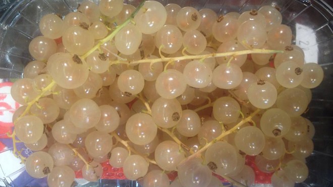 Cận cảnh nho chuỗi ngọc 2 triệu đồng/kg trong siêu thị Pháp Cận cảnh nho chuỗi ngọc 2 triệu đồng/kg trong siêu thị Pháp