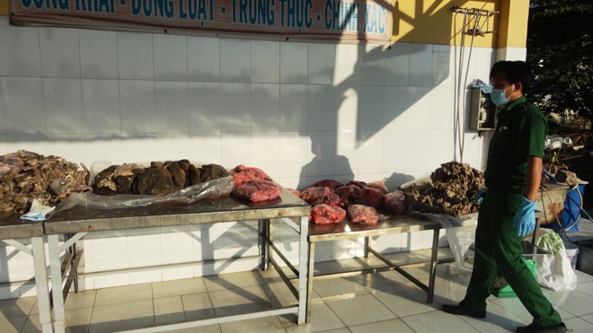 Hãi hùng với 2 tạ phụ phẩm bò bốc mùi trên xe khách Hơn 2 tạ phụ phẩm bò bị thu giữ.