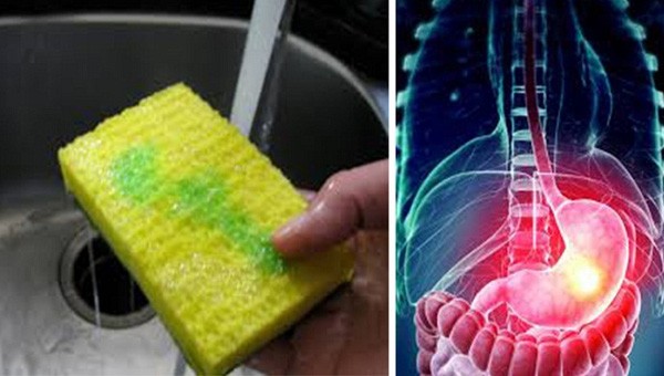 Điều bạn cần làm để tránh nhiễm bệnh từ giẻ rửa bát Điều bạn cần làm để tránh nhiễm bệnh từ giẻ rửa bát