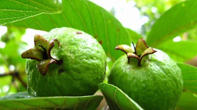 Không cần đến nha sĩ vẫn có thể tự làm trắng răng Không cần đến nha sĩ vẫn có thể tự làm trắng răng
