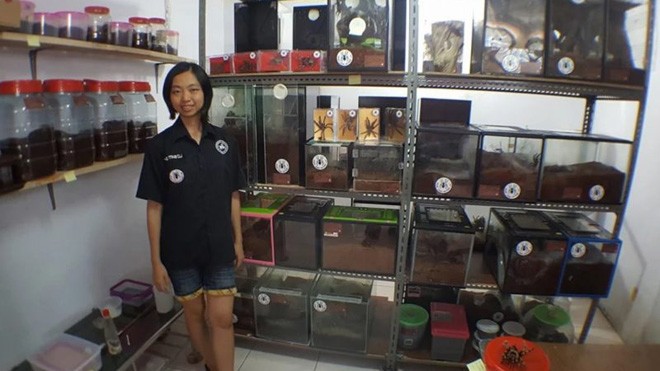 Cô gái gây choáng với sở thích bất thường: Bỏ tiền tỷ mua nhện độc làm thú cưng Cô gái 28 tuổi với sở thích cực độc