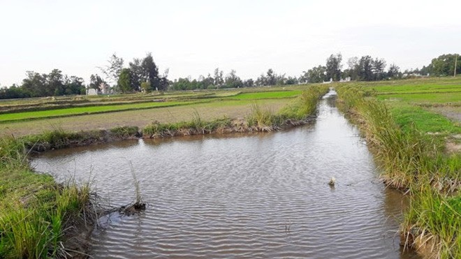 Quảng Trị: 3 ngày 2 người chết vì bắt cá bằng máy kích điện Khu vực hồ nước, nơi em Thắng kích điện rà cá dẫn đến tử vong.