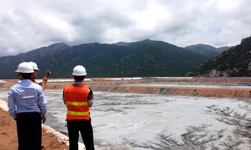 Vì sao đất nhiễm mặn, cây trồng bị chết tại Vĩnh Tân? Bãi xỉ Nhiệt điện Vĩnh Tân