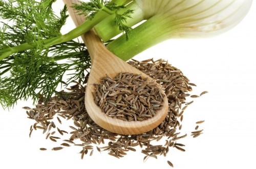 12 vị thuốc tự nhiên cải thiện bệnh trào ngược dạ dày 12 vị thuốc tự nhiên cải thiện bệnh trào ngược dạ dày