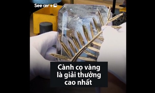 Quy trình sản xuất Cành cọ vàng Cannes Quy trình sản xuất Cành cọ vàng Cannes