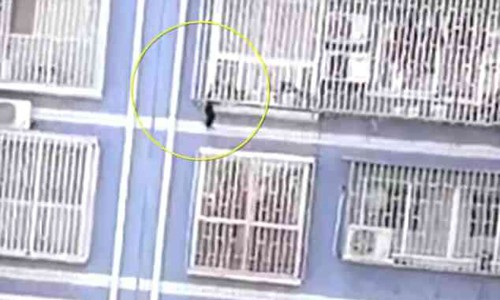 'Người nhện' tay không leo 5 tầng nhà cứu em bé 'Người nhện' tay không leo 5 tầng nhà cứu em bé