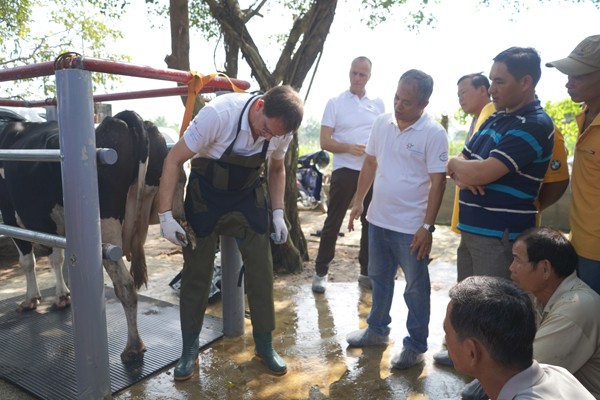 Nông dân Việt Nam và Hà Lan giao lưu, tập huấn kỹ thuật chăn nuôi Chủ đề chương trình tập huấn 2018 tập trung vào chăm sóc móng bò sữa