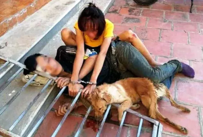 Cặp tình nhân trộm chó bị đánh hội đồng, xích cùng nhau bên tang vật Cặp tình nhân trộm chó bị bắt giữ xích cùng với con chó tang vật tại UBND xã Phú Lộc