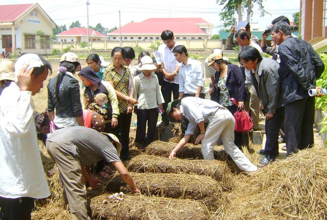 Qua học nghề giúp lao động nông thôn thoát nghèo Qua học nghề giúp lao động nông thôn thoát nghèo