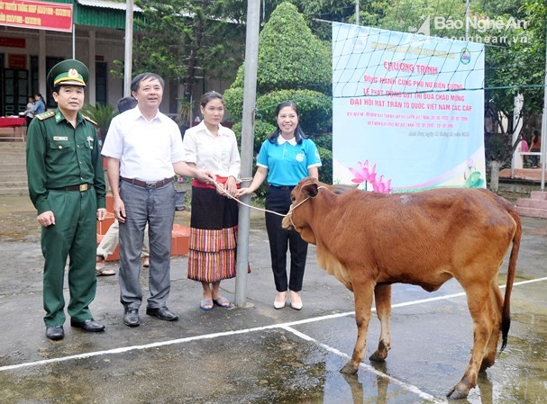 BẢN TIN THANH NIÊN: Thu gom vỏ lon bia gây quỹ mua bò giống Lãnh đạo huyện Anh Sơn, Hội LHPN huyện và Đồn Biên phòng Phúc Sơn trao tặng bò cho chị Hồ Thị Thúy (bản Vều 4). Ảnh: Công Kiên