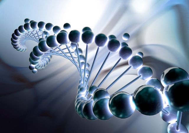 Hack DNA có thể giúp con người “bất tử” Trong tương lai không xa, các nhà khoa học Mỹ cho rằng có cách giúp con người chống lại được quy luật lão hoá tự nhiên.
