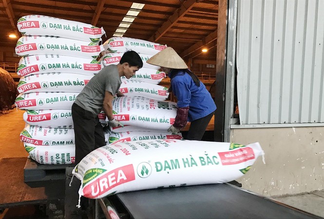 Doanh nghiệp kêu cứu vì phân bón giả Nhiều doanh nghiệp sản xuất phân bón trong nước điêu đứng vì phân bón giả, nhái và phân bón nhập khẩu từ các nướcẢnh: Thục Quyên