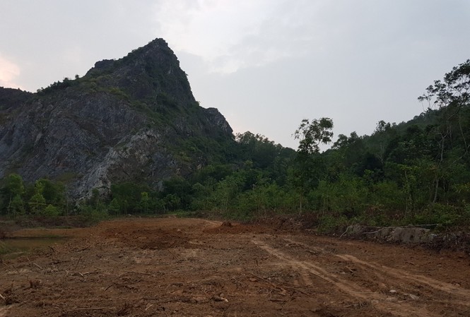 Bất chấp lệnh cấm, tiếp tục chặt cây, san lấp ở rừng đặc dụng Cách rừng sau khi bị chặt phá, san lấp
