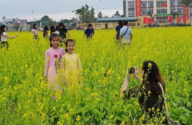 Rực rỡ cánh đồng hoa cải giữa lòng thành phố Thanh Hóa Rực rỡ cánh đồng hoa cải giữa lòng thành phố Thanh Hóa