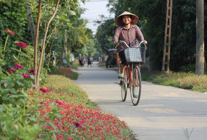 Ngắm đường hoa sam độc nhất ở Quảng Bình Ngắm đường hoa sam độc nhất ở Quảng Bình