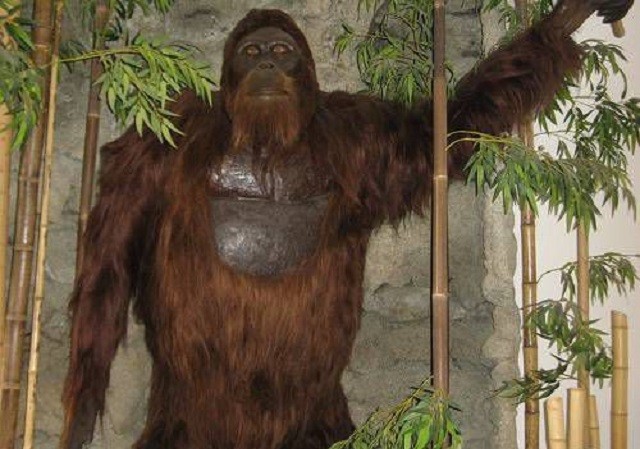 Gigantopithecus, phiên bản có thật của King Kong Gigantopithecus, phiên bản có thật của King Kong