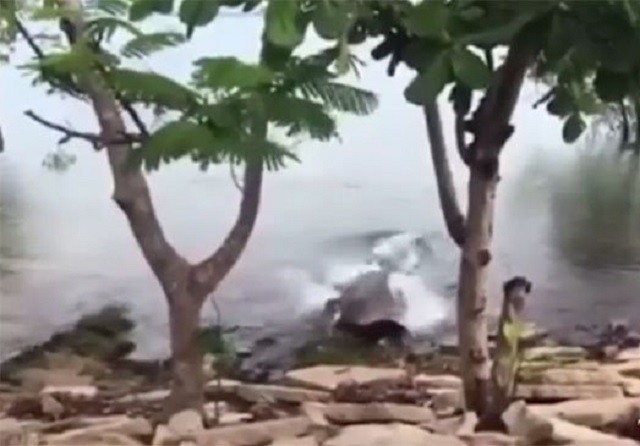 Chơi đùa bên bờ sông, chú chó nhận cái kết đắng Chơi đùa bên bờ sông, chú chó nhận cái kết đắng