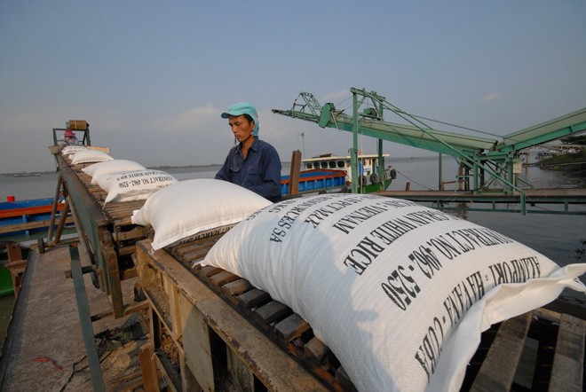 Giá gạo xuất khẩu của Việt Nam đang ở mức cao nhất trong nhiều năm qua Ảnh: Phương Chăm
