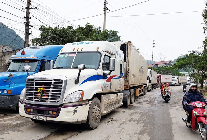 Doanh nghiệp vận tải lo 'mất khách' trước áp lực giá xăng dầu Để giữ khách trong bối cảnh thị trường cạnh tranh gay gắt, các doanh nghiệp vận tải không dám tăng giá cước dù giá xăng dầu tăng mạnh.