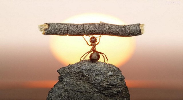 7 bí quyết để kiểm soát những suy nghĩ tiêu cực Ảnh minh hoạ: Internet