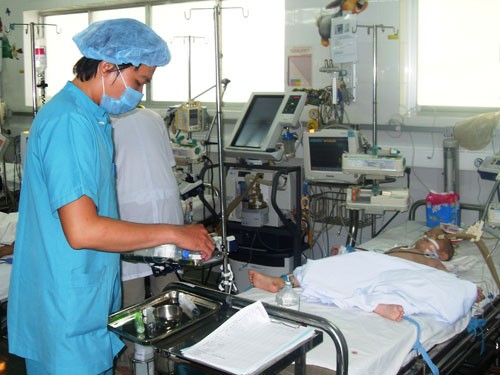 Bệnh lây qua muỗi đốt khiến trẻ hôn mê Nhiều trẻ thở máy, hôn mê vì mắc viêm não Nhật Bản. Ảnh minh hoạ: Internet