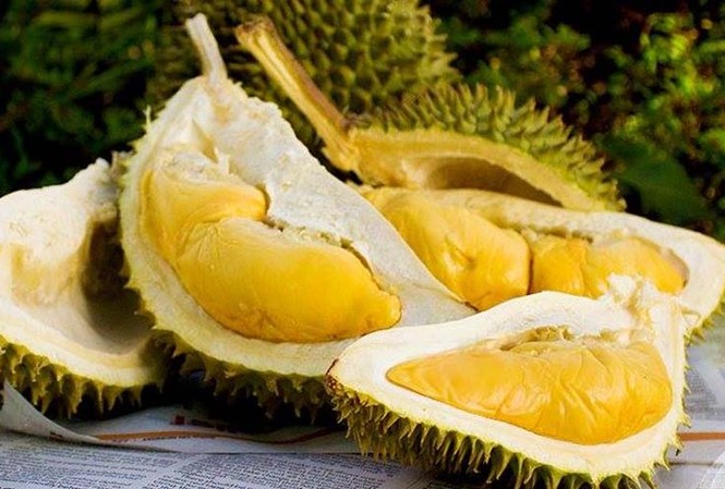 Những người đại kỵ với sầu riêng, thèm đến mấy cũng phải 'tránh cho xa' Ảnh minh họa: Internet