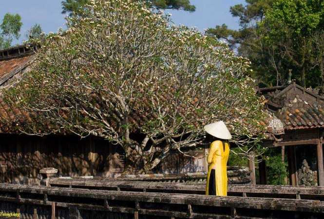 Miễn vé cho phụ nữ mặc áo dài khi tham quan di tích Huế Phụ nữ trong nước và nước ngoài khi tham quan di tích Huế được miễn phí vé vào cổng nếu mặc trang phục áo dài truyền thống (ảnh minh họa)