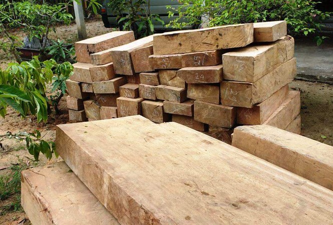 Bắt gần 50 phách gỗ lậu trên đường đi tiêu thụ Gần 50 phách gỗ rừng ận chuyển bằng xe tải trên Quốc lộ 1 bị CSGT bắt giữ